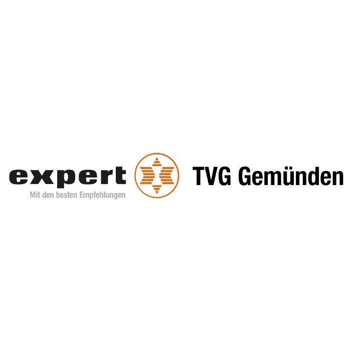 expert TVG Main-Spessart GmbH & Co. KG Gemünden Logo