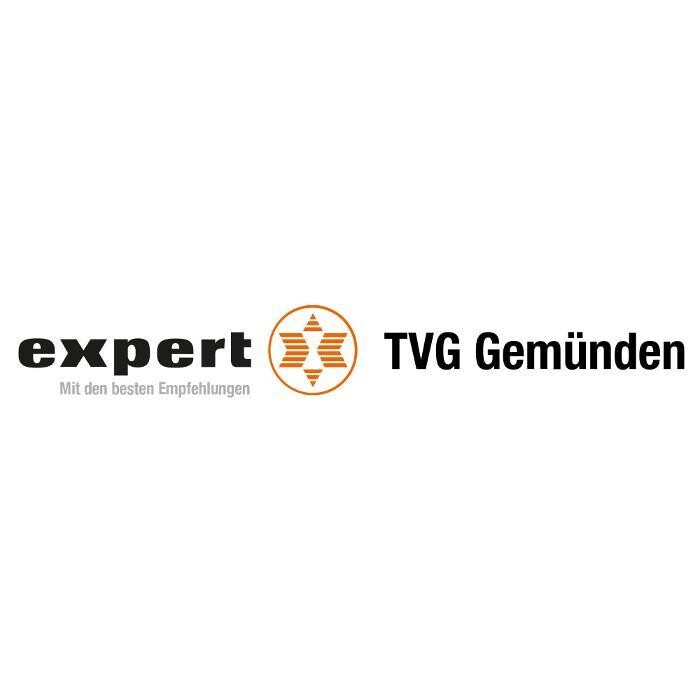 expert TVG Main-Spessart GmbH & Co. KG Logo