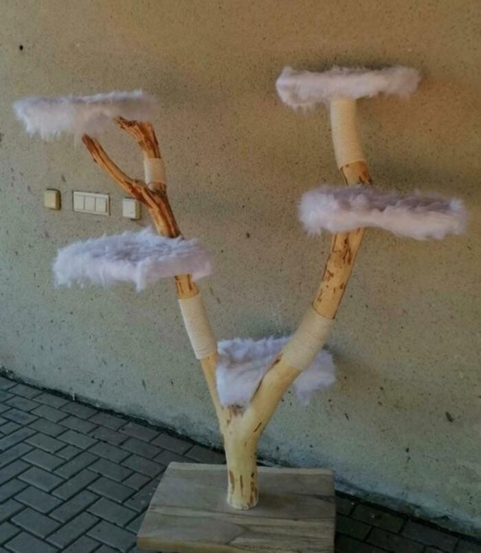 Bilder Mo`s Naturstammdesign - Natürliche Kratzbäume