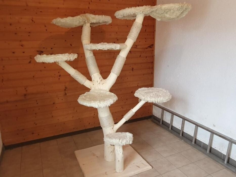 Bilder Mo`s Naturstammdesign - Natürliche Kratzbäume