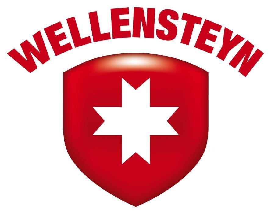 Wellensteyn Store Logo