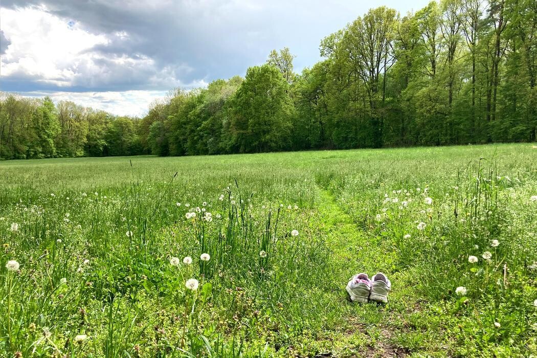 Bilder Vayu-Institut Yoga & Waldbaden