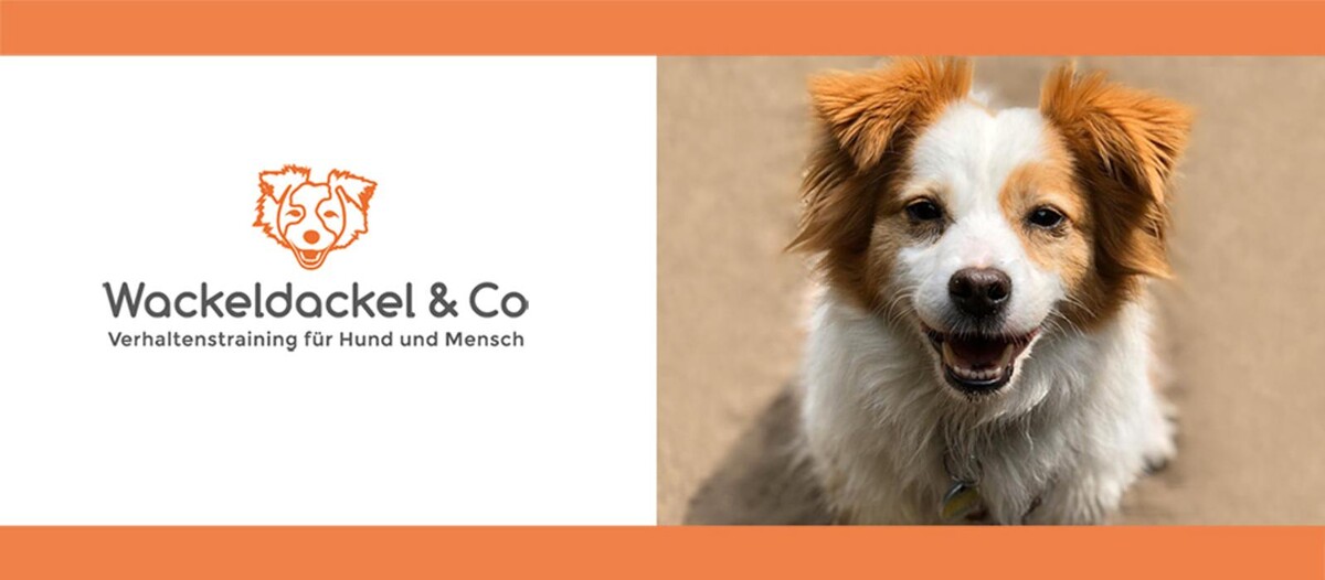 Bilder Wackeldackel & Co - Verhaltenstraining für Hund und Mensch