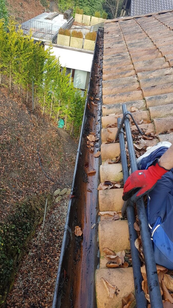 Bilder GASHI Hausmeisterservice & Gebäudereinigung