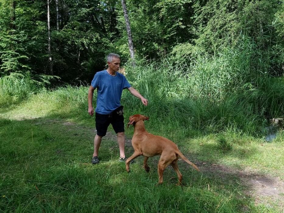 Bilder Guido Bauer Hundetrainer & Verhaltensberater