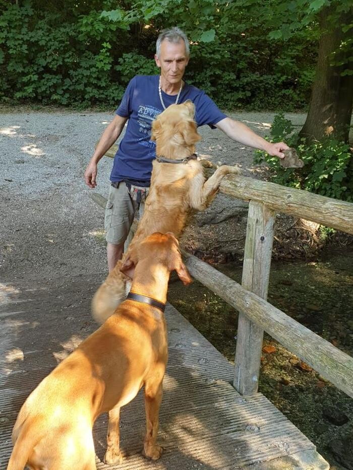 Bilder Guido Bauer Hundetrainer & Verhaltensberater