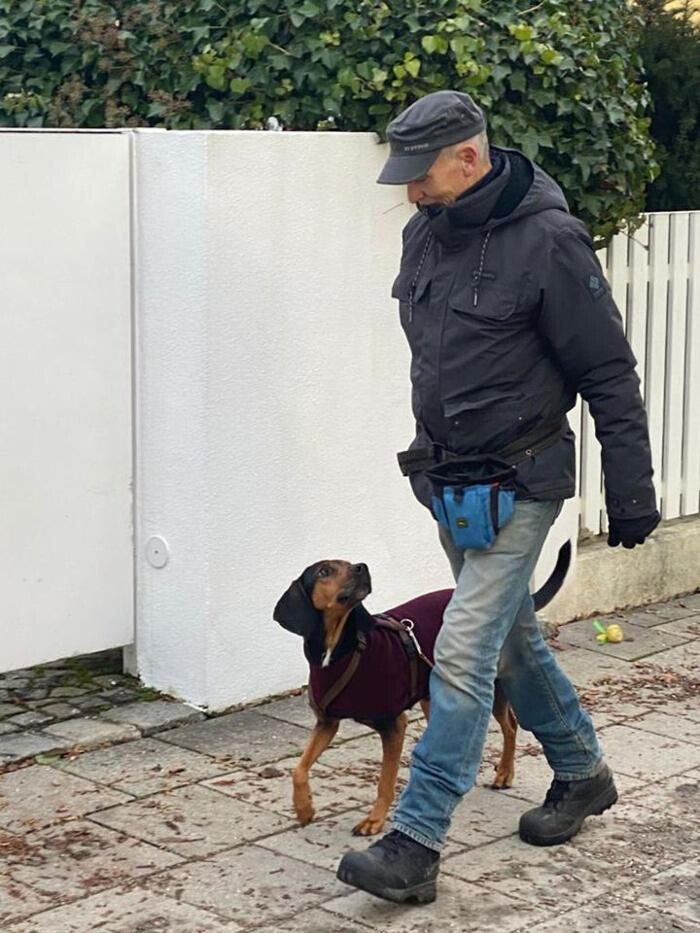 Bilder Guido Bauer Hundetrainer & Verhaltensberater