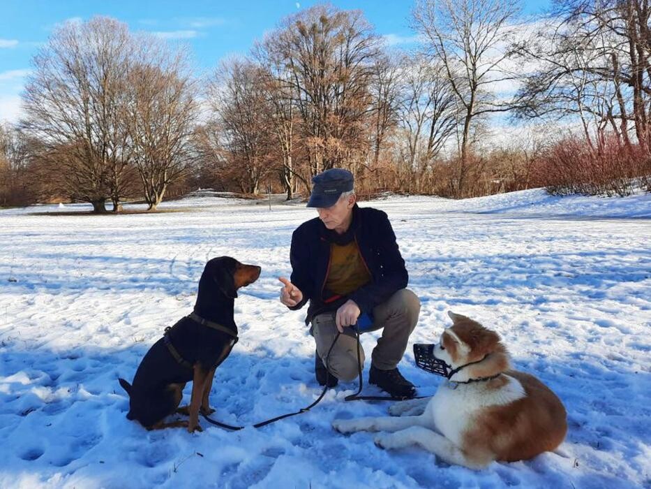 Bilder Guido Bauer Hundetrainer & Verhaltensberater