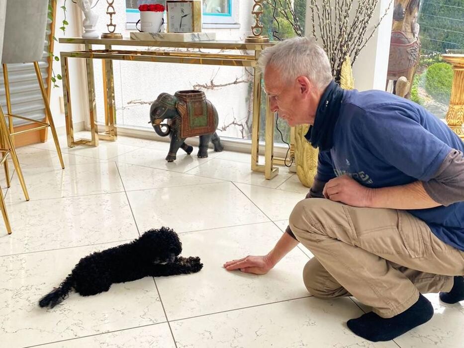 Bilder Guido Bauer Hundetrainer & Verhaltensberater