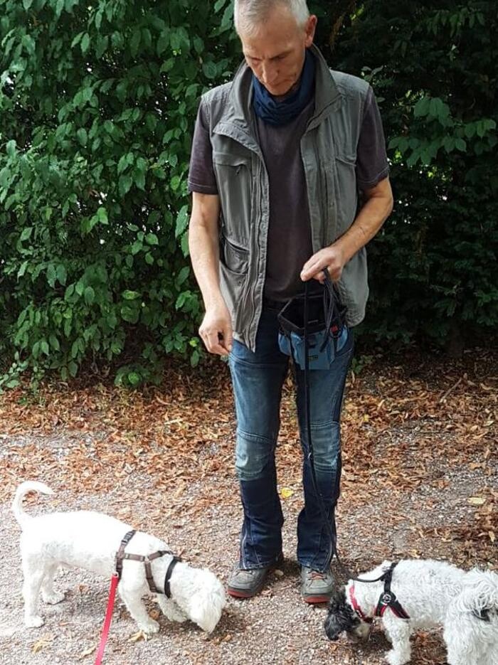 Bilder Guido Bauer Hundetrainer & Verhaltensberater