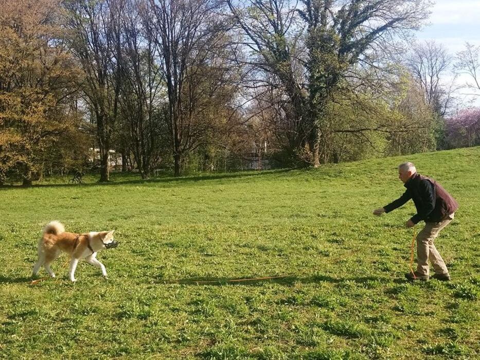 Bilder Guido Bauer Hundetrainer & Verhaltensberater