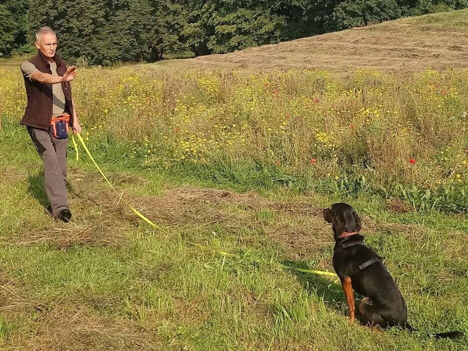 Bilder Guido Bauer Hundetrainer & Verhaltensberater