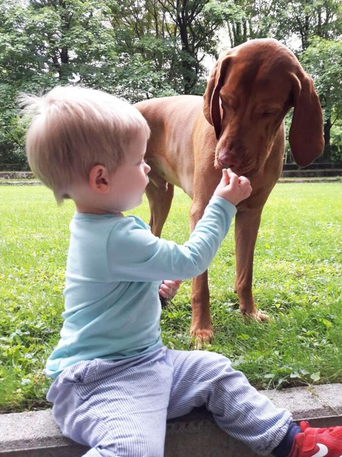 Bilder Guido Bauer Hundetrainer & Verhaltensberater