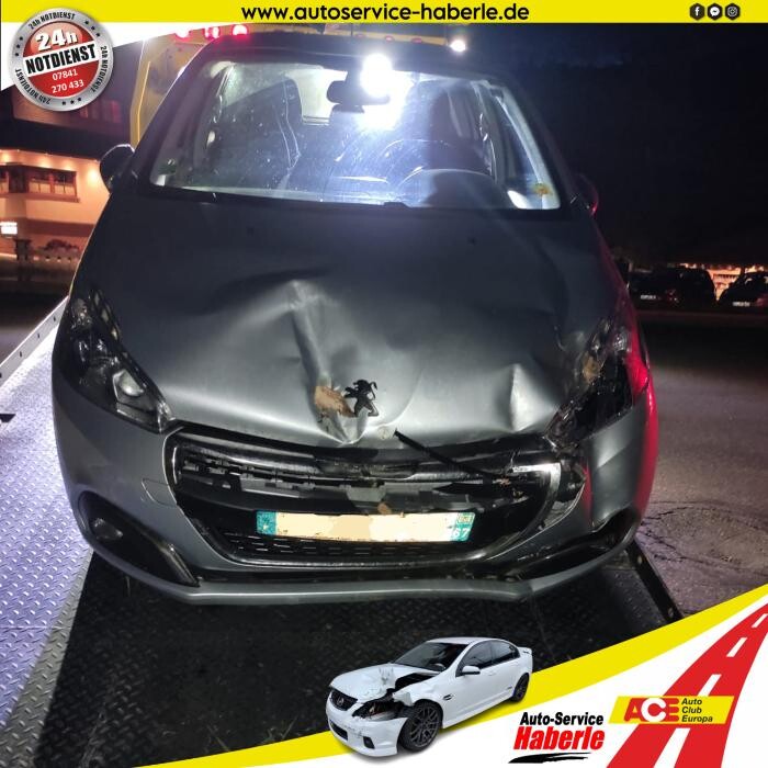 Bilder Autoservice Haberle