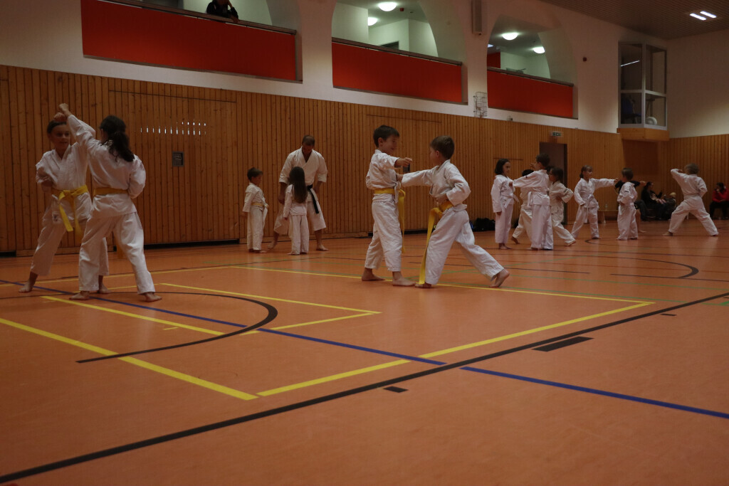 Bilder Budokai-Karateschule Annaberg