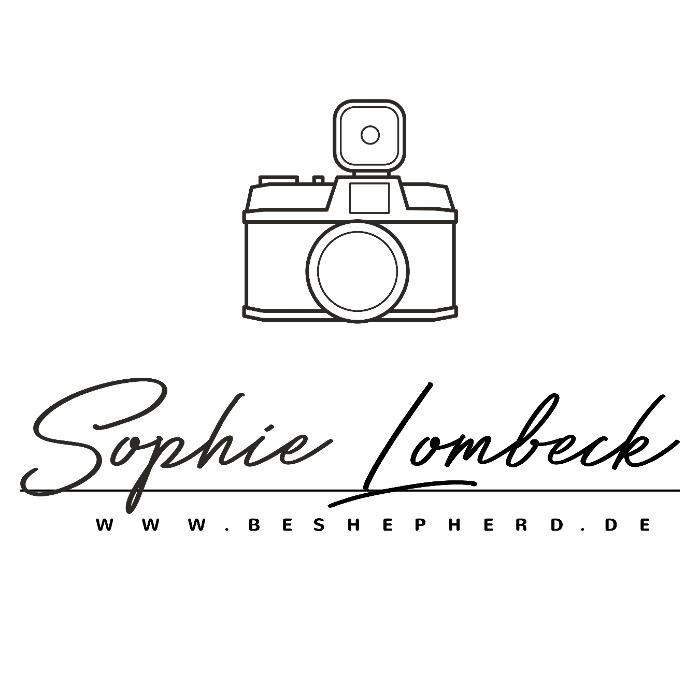 Bilder Beshepherd Tierfotografie - Sophie Lombeck