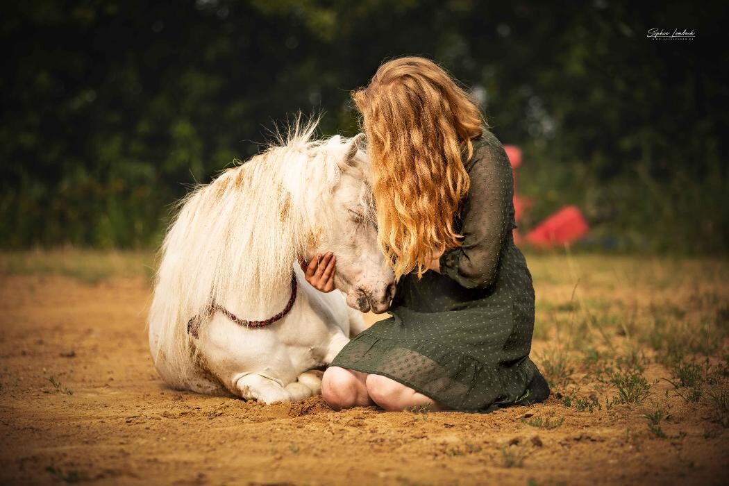 Bilder Beshepherd Tierfotografie - Sophie Lombeck