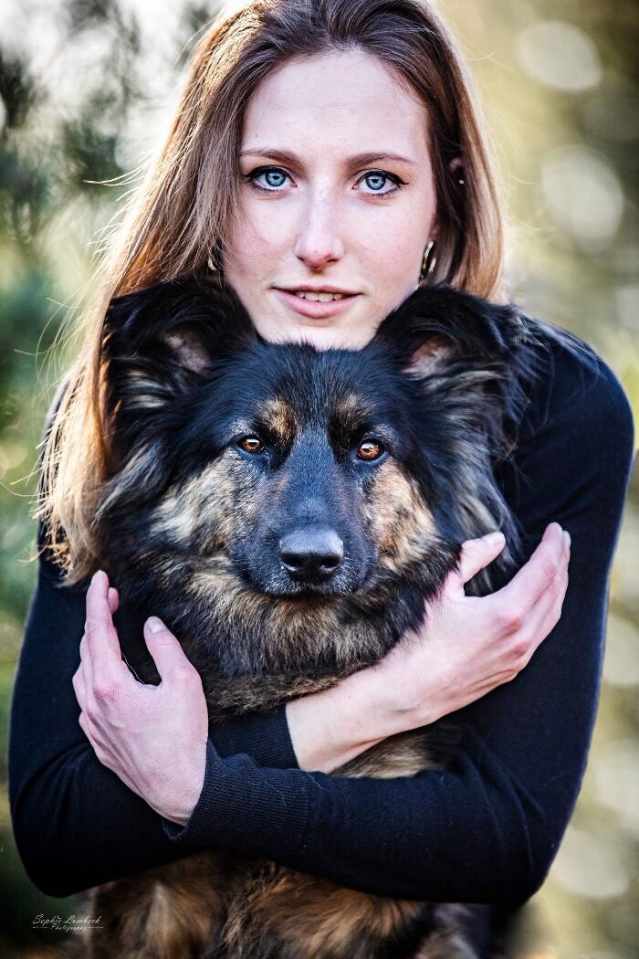 Bilder Beshepherd Tierfotografie - Sophie Lombeck