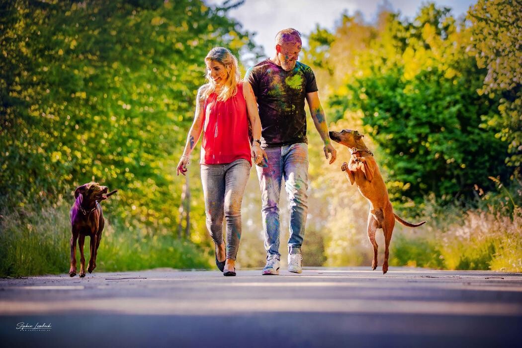 Bilder Beshepherd Tierfotografie - Sophie Lombeck