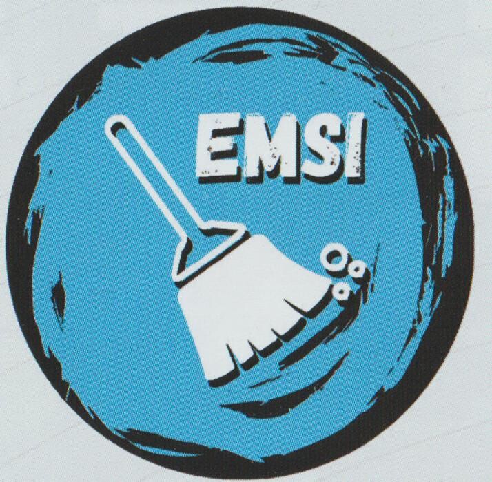 EMSI-REINIGUNGSTEAM HERNE Logo