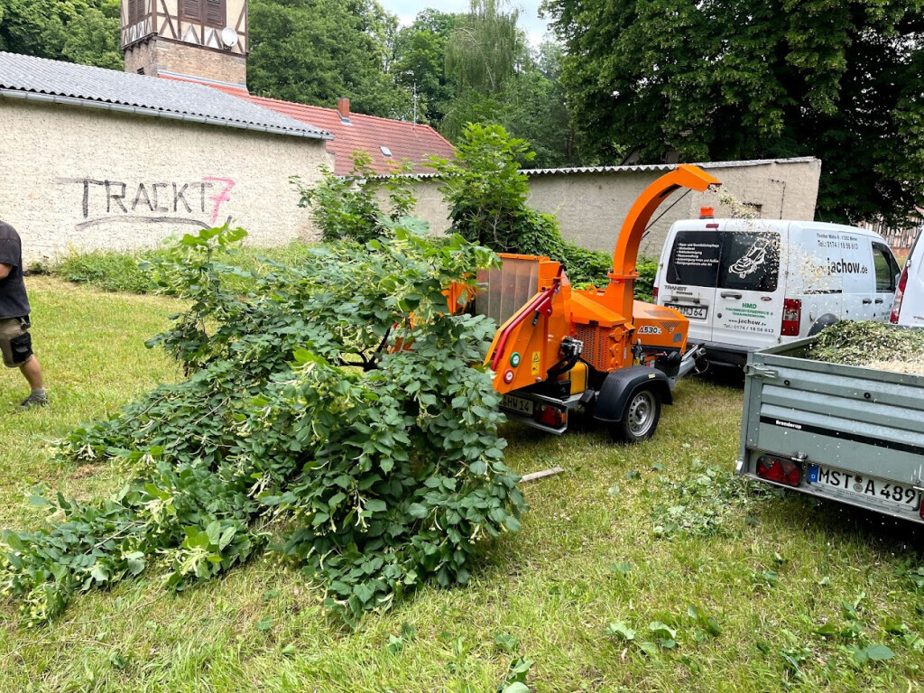 Bilder HMD Hubertus Jachow