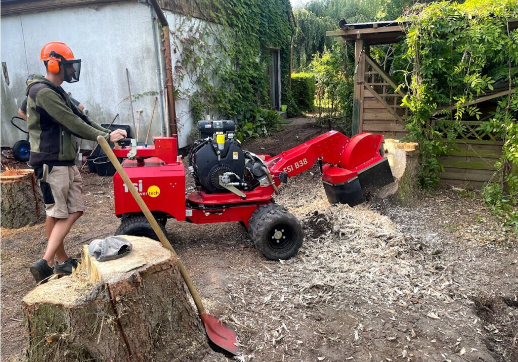 Bilder HMD Hubertus Jachow