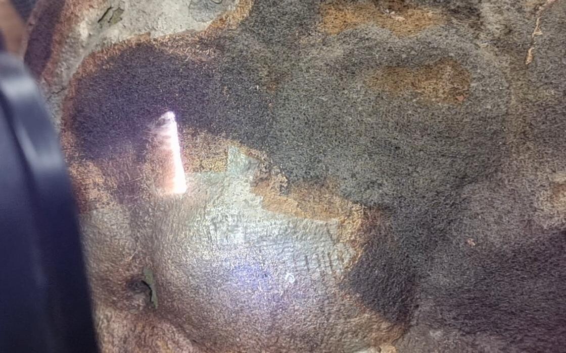 Bilder Seto LaserCleaning - Laserreinigung