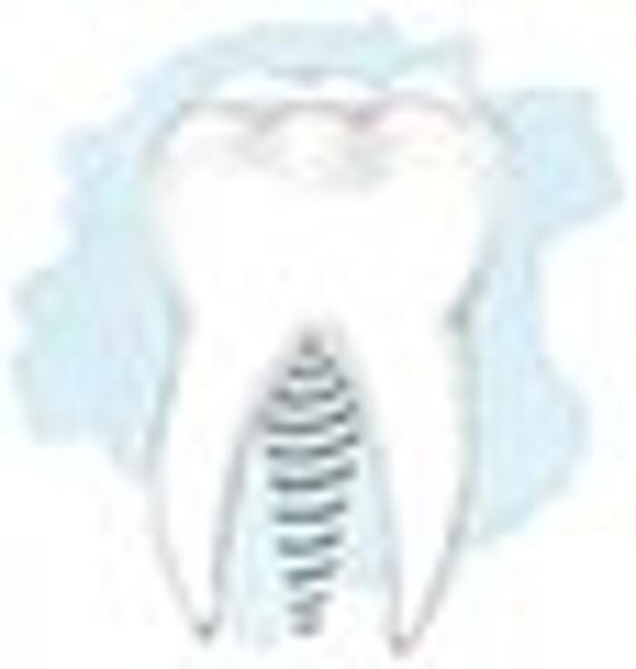 Zahnarzt Dr. Thomas Thometzki, M. Sc. Implantologie & orale Chirurgie, Ästhetik und Veneers Logo