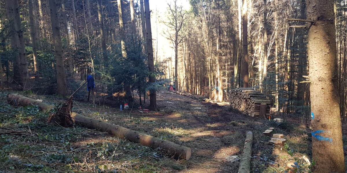 Bilder Brennholz Schuller