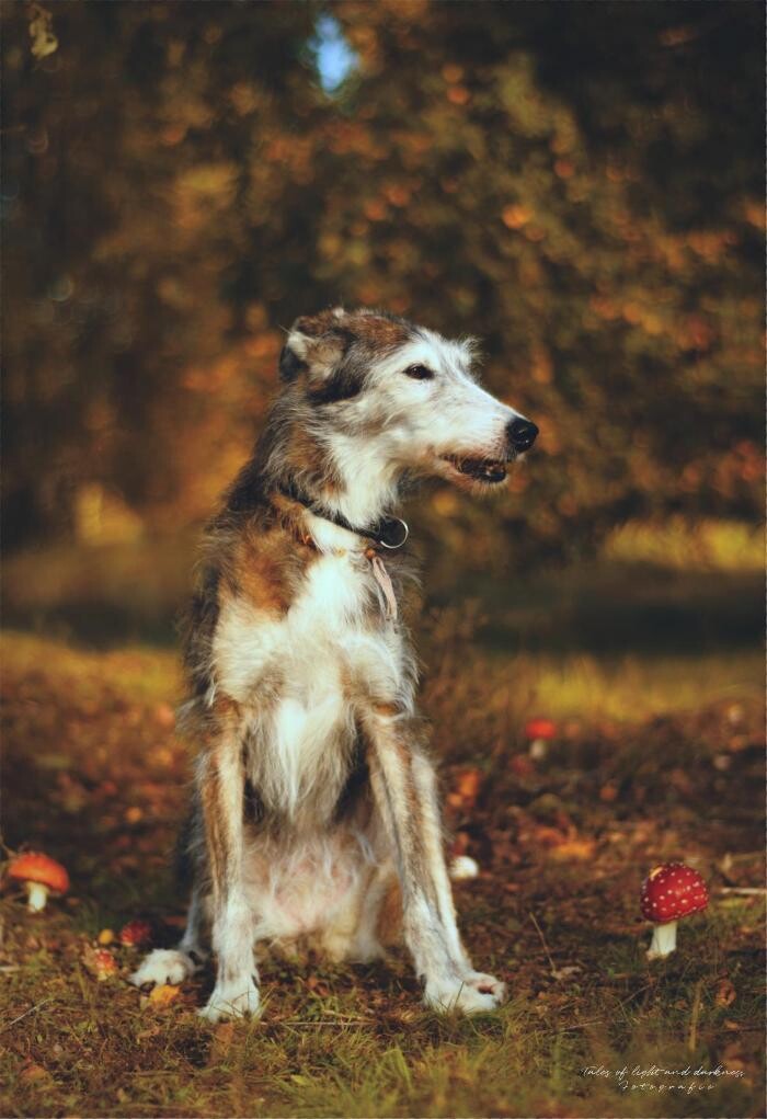 Bilder Tales of light and darkness