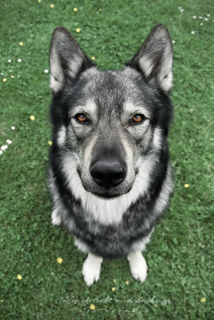 Bilder Tales of light and darkness