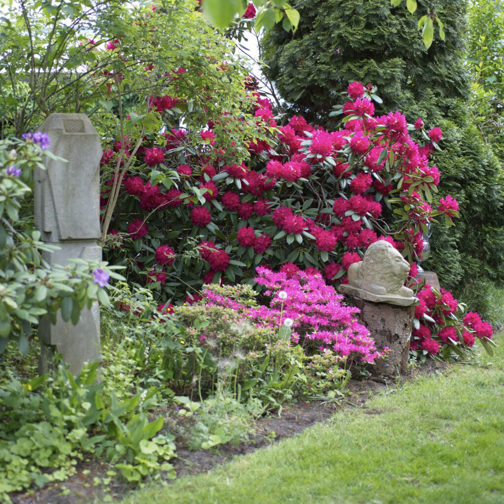 Bilder Isabelle Neumann - Holistische Gartenberatung & Pflege