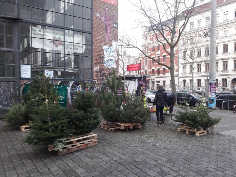 Bilder weihnachtsbaum leipzig