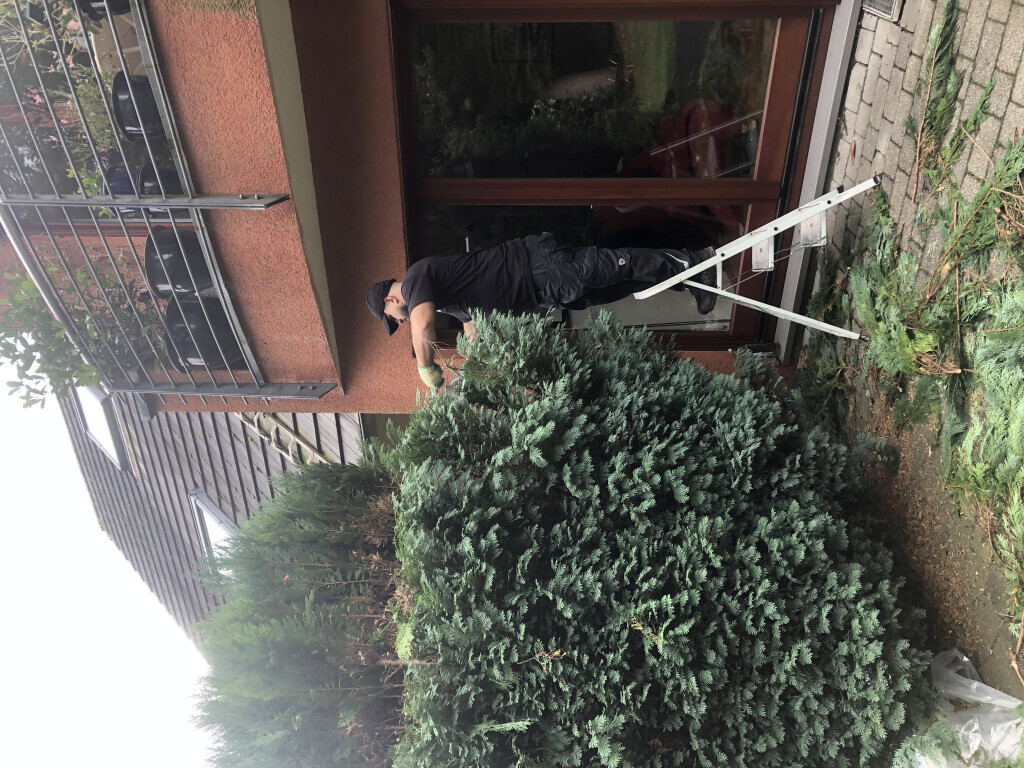 Bilder F & G Gebäudereinigung Gashi