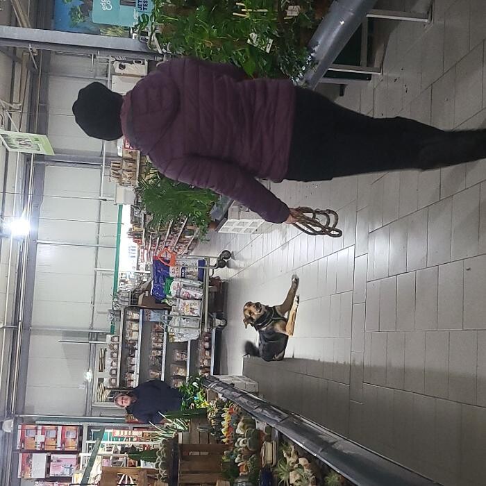 Bilder Hundeschule Liane Vettori, Zertifikat IHK/BHV