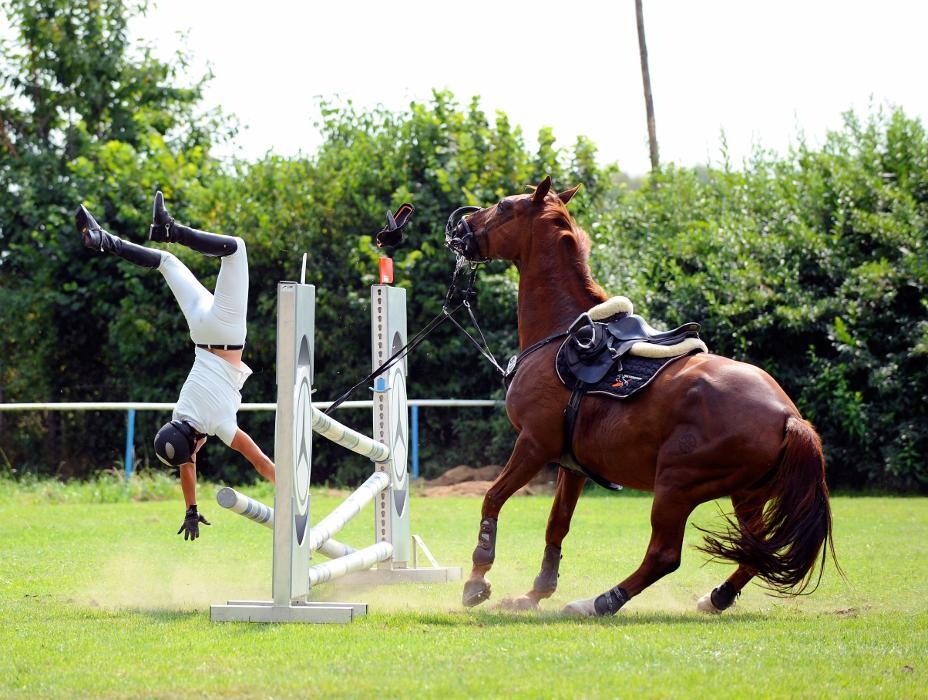 Bilder Mental fit Reiten - Christiansen Coaching