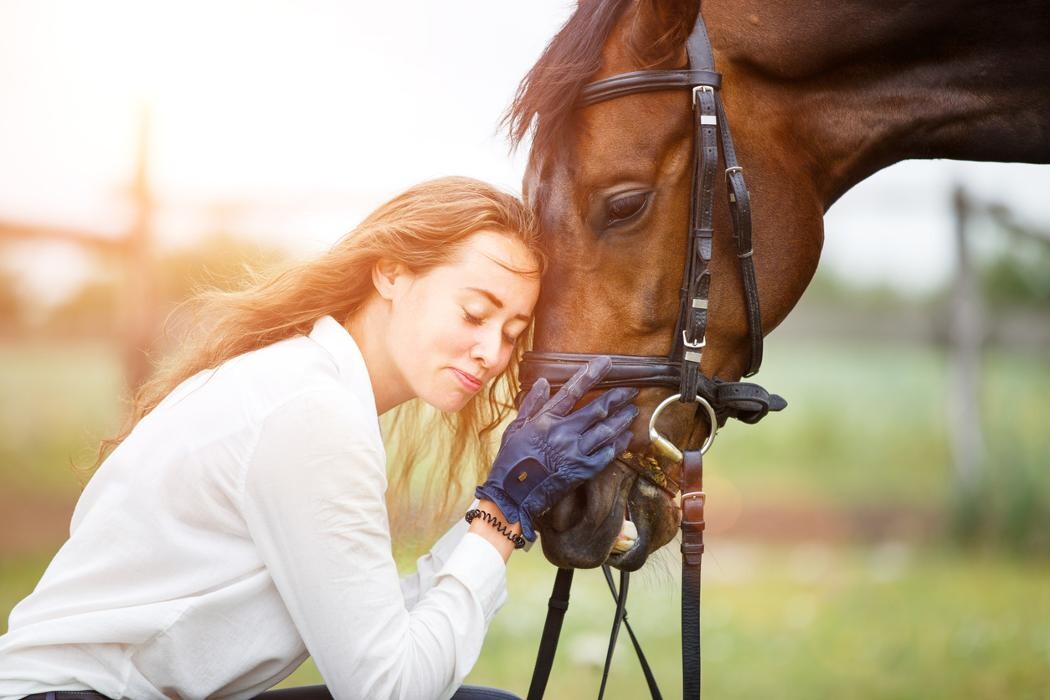 Bilder Mental fit Reiten - Christiansen Coaching