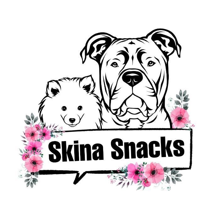 Skina-Snacks Logo