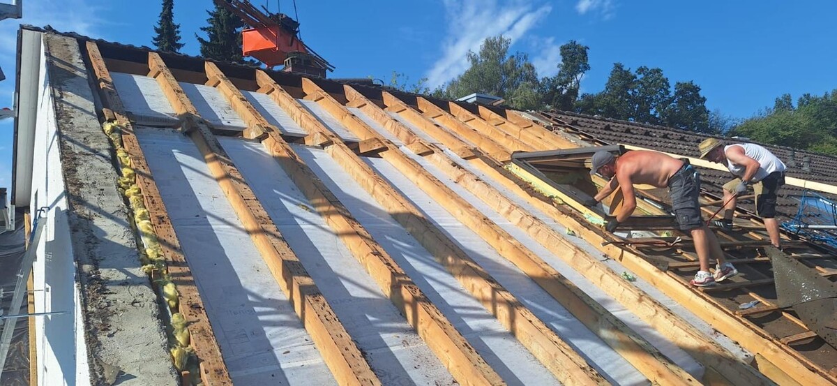 Bilder MS Holz und Landschaftsbau - Marc Schulz