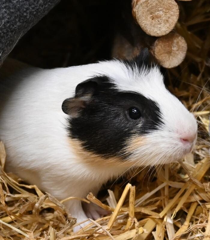 Bilder DAS FUTTERHAUS - Bremen-Weserpark