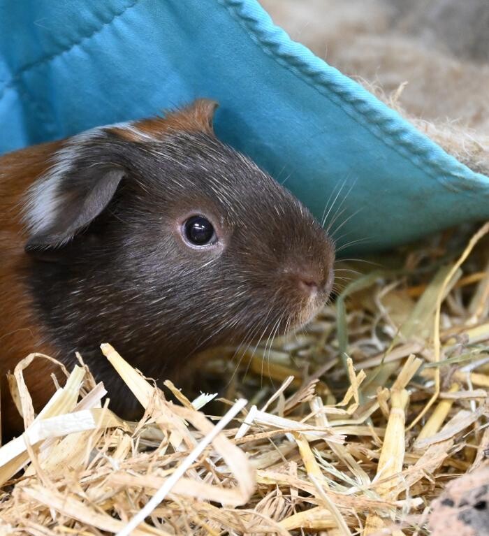 Bilder DAS FUTTERHAUS - Bremen-Weserpark