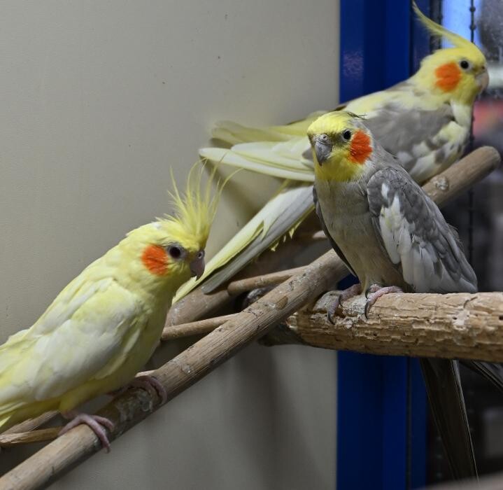 Bilder DAS FUTTERHAUS - Bremen-Weserpark