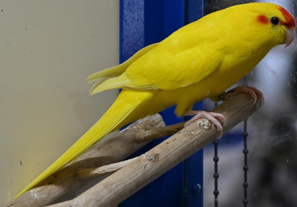 Bilder DAS FUTTERHAUS - Bremen-Weserpark