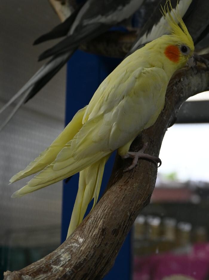 Bilder DAS FUTTERHAUS - Bremen-Weserpark