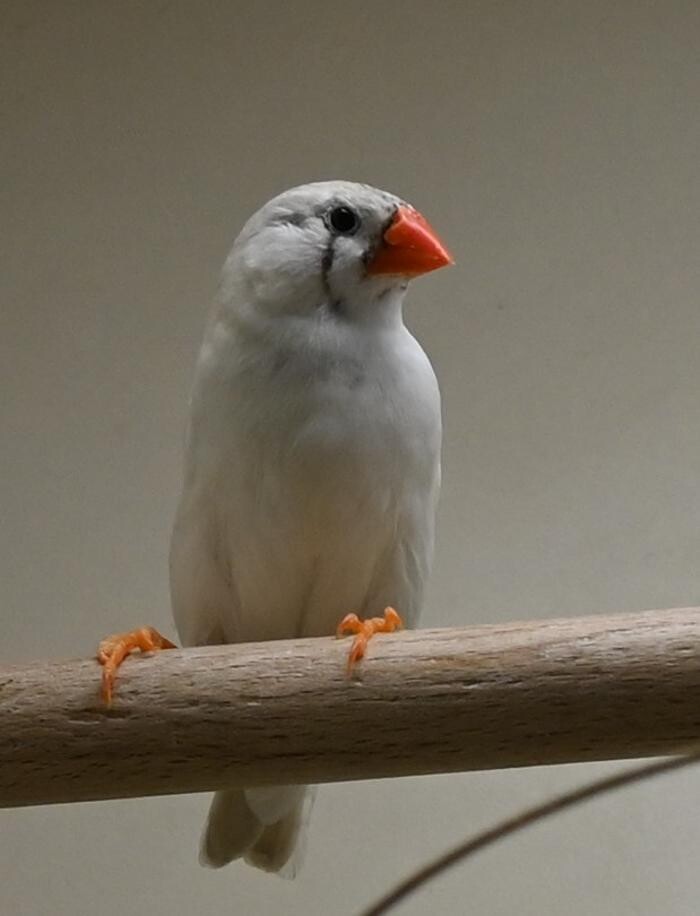 Bilder DAS FUTTERHAUS - Bremen-Weserpark