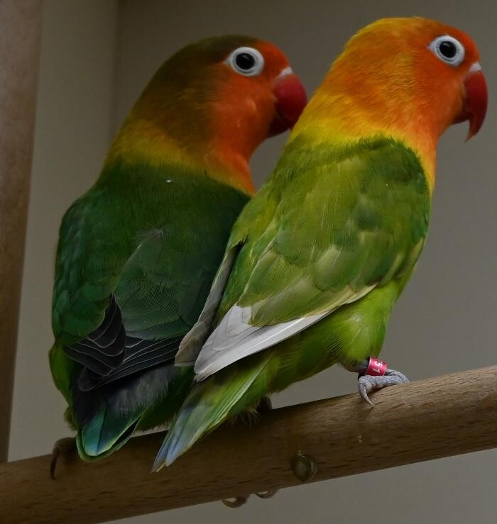 Bilder DAS FUTTERHAUS - Bremen-Weserpark