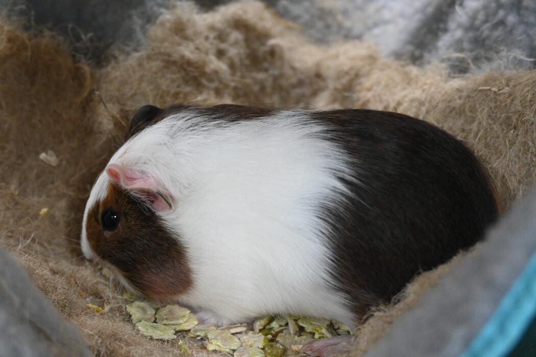 Bilder DAS FUTTERHAUS - Bremen-Weserpark