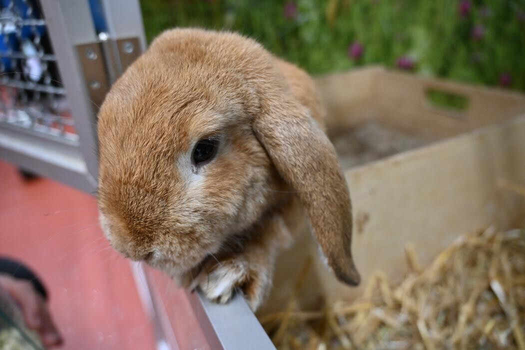 Bilder DAS FUTTERHAUS - Bremen-Weserpark