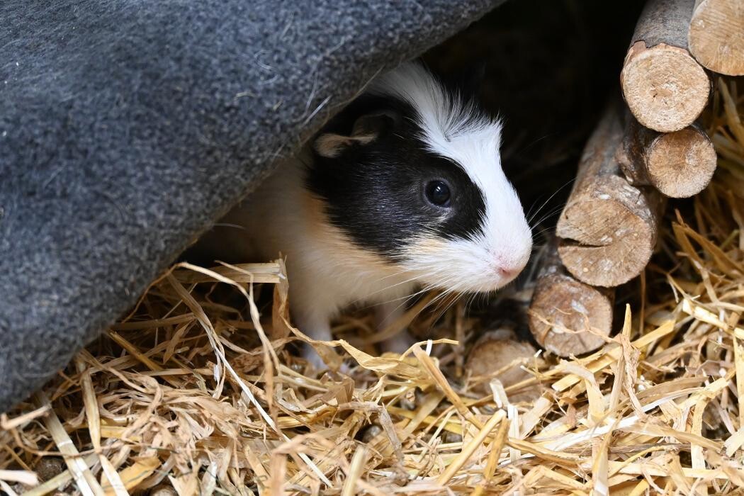 Bilder DAS FUTTERHAUS - Bremen-Weserpark