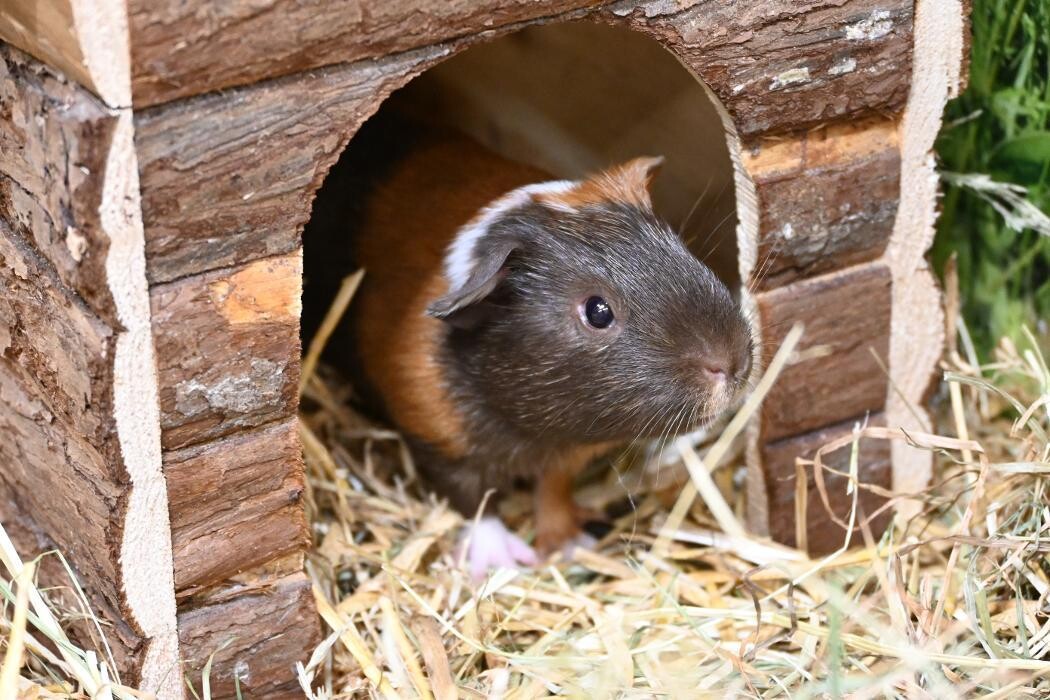 Bilder DAS FUTTERHAUS - Bremen-Weserpark
